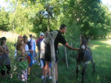 Pont de Braye Languedoc-Roussillon - Chastanier visuel 3/11 Pont de Braye Languedoc-Roussillon - Chastanier visuel 3/11