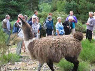 Pont de Braye Languedoc-Roussillon - Chastanier visuel 9/11 Pont de Braye Languedoc-Roussillon - Chastanier visuel 9/11