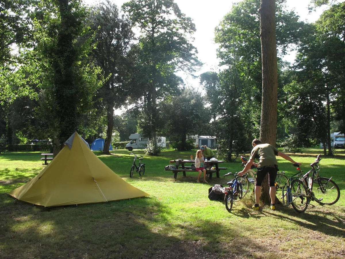 Camping Port Mulon Pays de Loire - Nort-sur-Erdre visuel 3/8