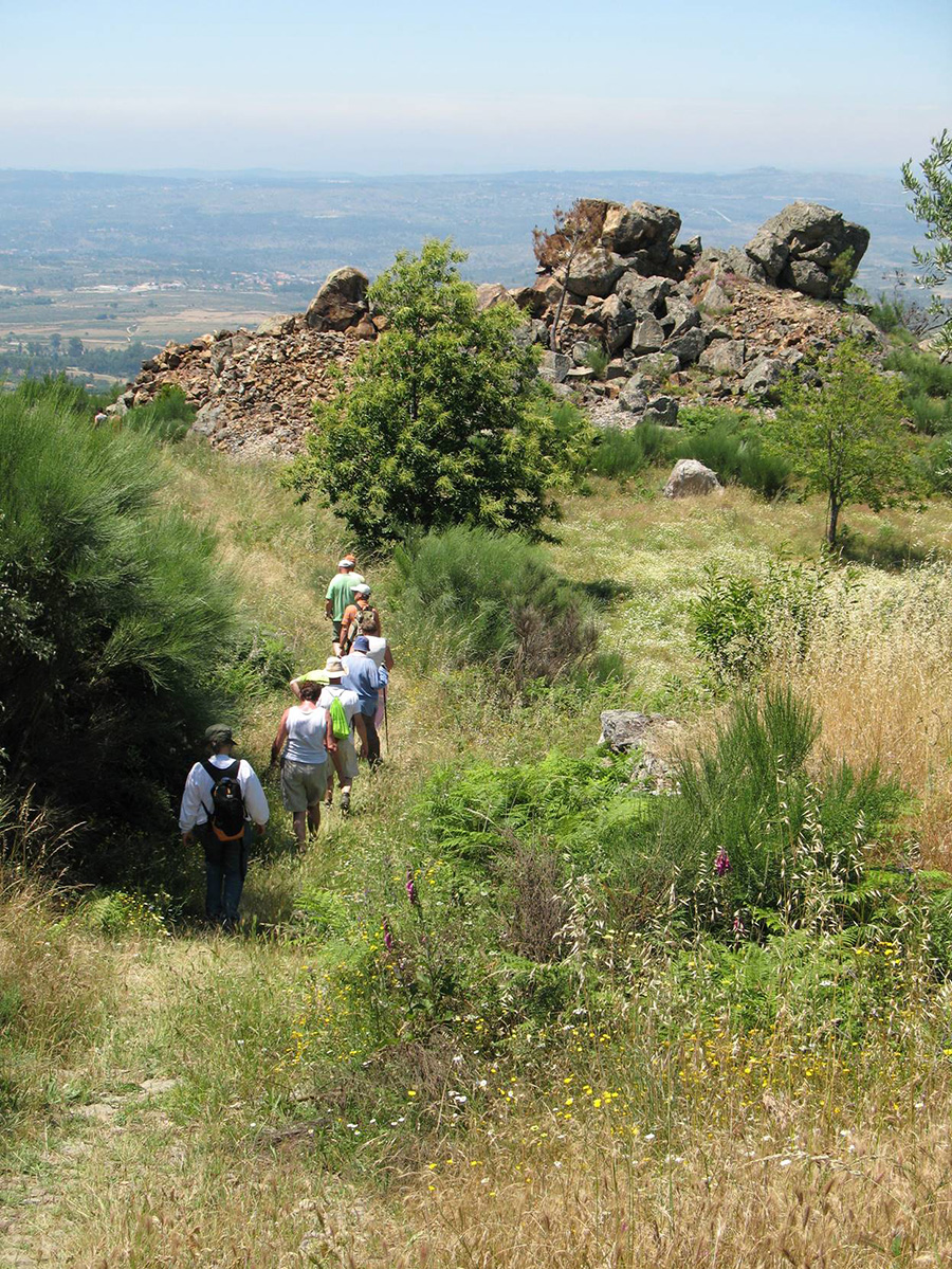 Quinta das Cegonhas Centro - Gouveia visuel 9/10