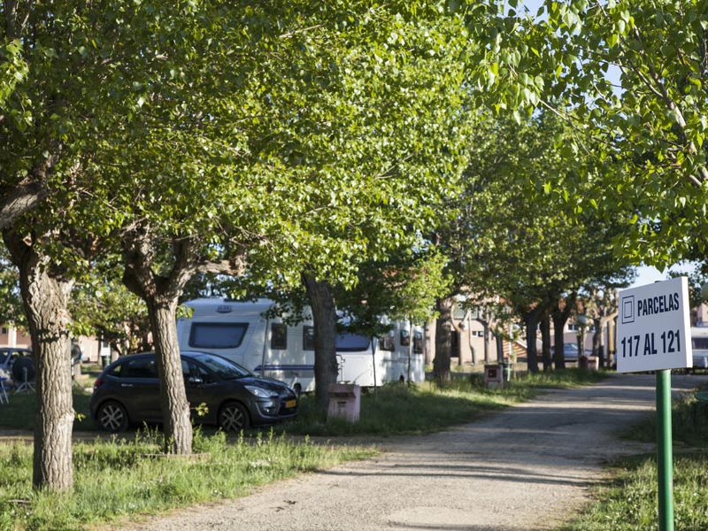 Regio Castille-et-León - Salamanque visuel 10/10