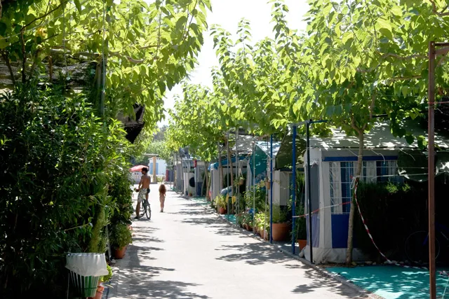 Camping Riberamar Costa de Valencia - Oropesa del Mar visuel 3/6