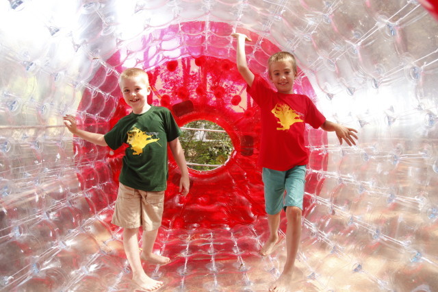 Riva dei Tarquini Toscane - Tarquinia visuel 8/10 Riva dei Tarquini Toscane - Tarquinia visuel 8/10