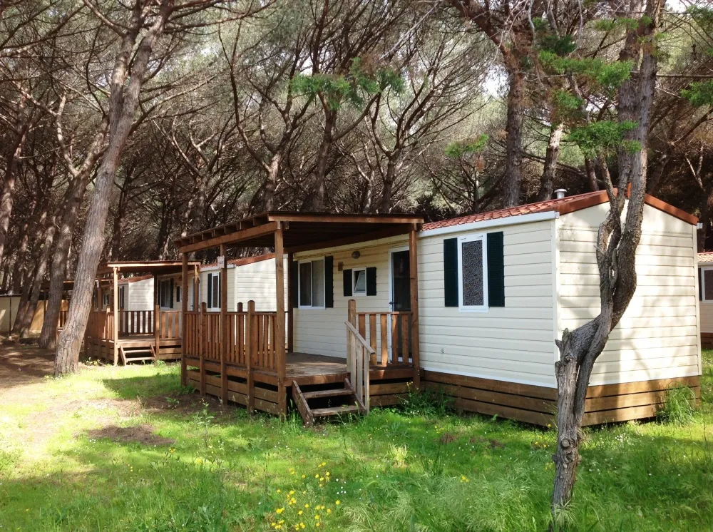Camping Riviera degli Etruschi Latium - Tarquinia visuel 9/12