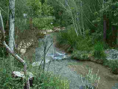 Saint Clair Provence-Alpes-Côte d'Azur - Moustiers-Sainte-Marie visuel 4/8