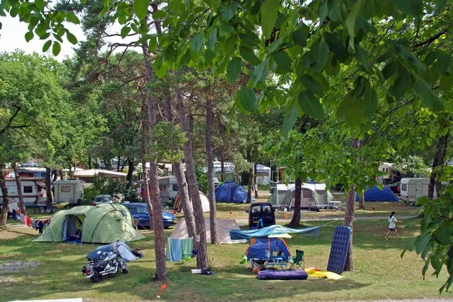 Camping Saint Disdille Rhône-Alpes - Thonon-les-Bains visuel 10/11