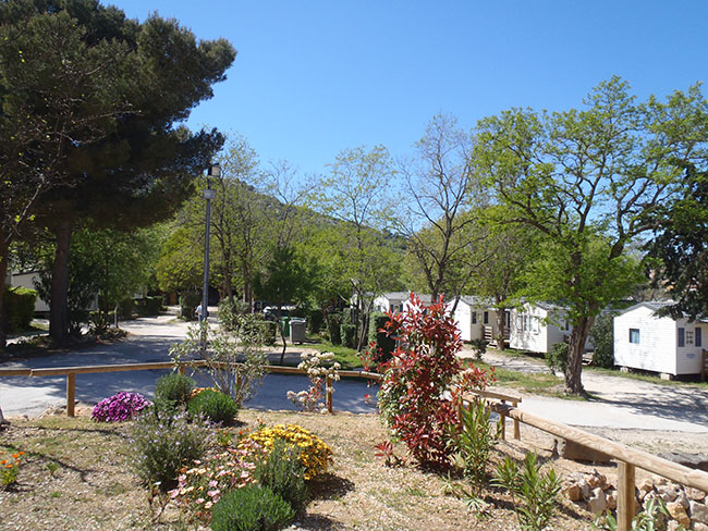 Saint Jean Provence-Alpes-Côte d'Azur - Six Fours les Plages visuel 8/12