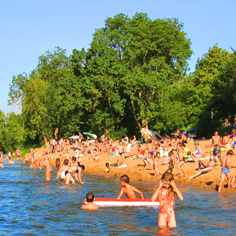 Les Plages de Loire Paesi della Loira - Rochefort-sur-Loire visuel 1/11