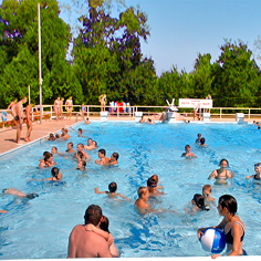 Les Plages de Loire Paesi della Loira - Rochefort-sur-Loire visuel 2/11
