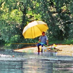 Les Plages de Loire Paesi della Loira - Rochefort-sur-Loire visuel 3/11