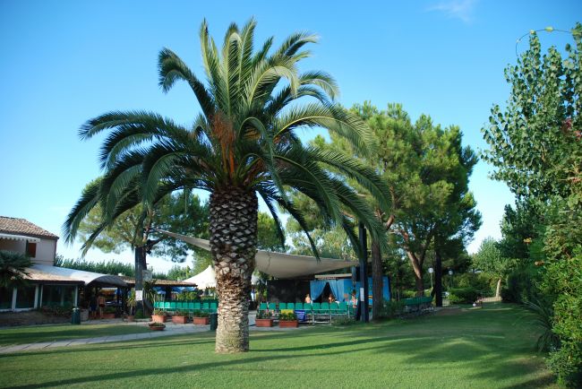 Spinnaker Marches - Fermo visuel 2/11 Spinnaker Marches - Fermo visuel 2/11