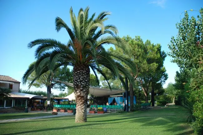 Camping Spinnaker Marches - Fermo visuel 2/11