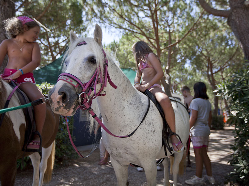 Stella del Mare Toscane - Castiglione della Pescaia visuel 8/11