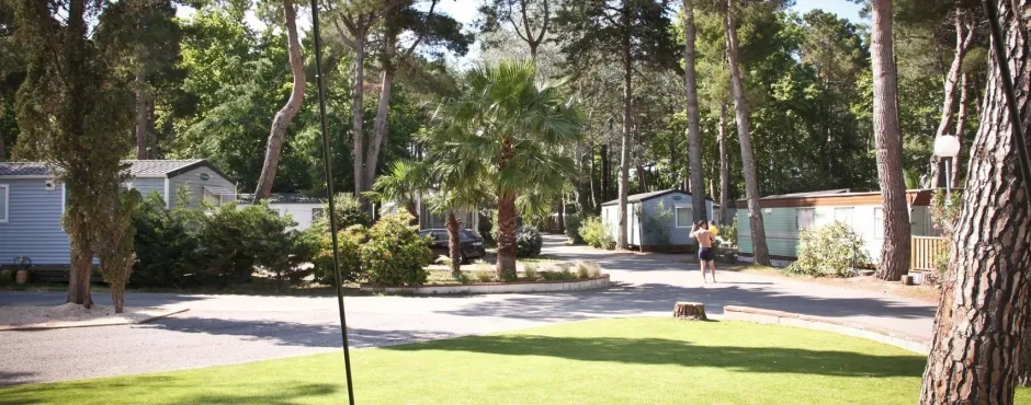 Camping Taxo Les Pins Languedoc-Roussillon - Argelès-sur-Mer visuel 12/17