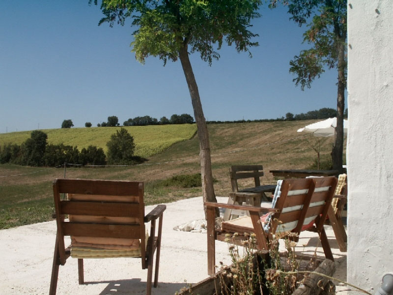 Tenuta Tredici Olivi Marches - Senigallia visuel 4/5