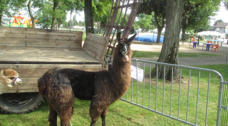 Touristique de Gien Grand Centre - Gien visuel 7/9