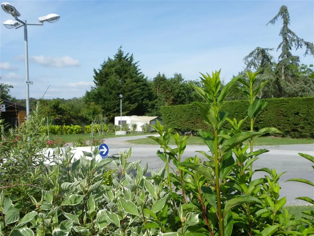 Camping Céleste Poitou-Charentes - Breuillet visuel 11/11