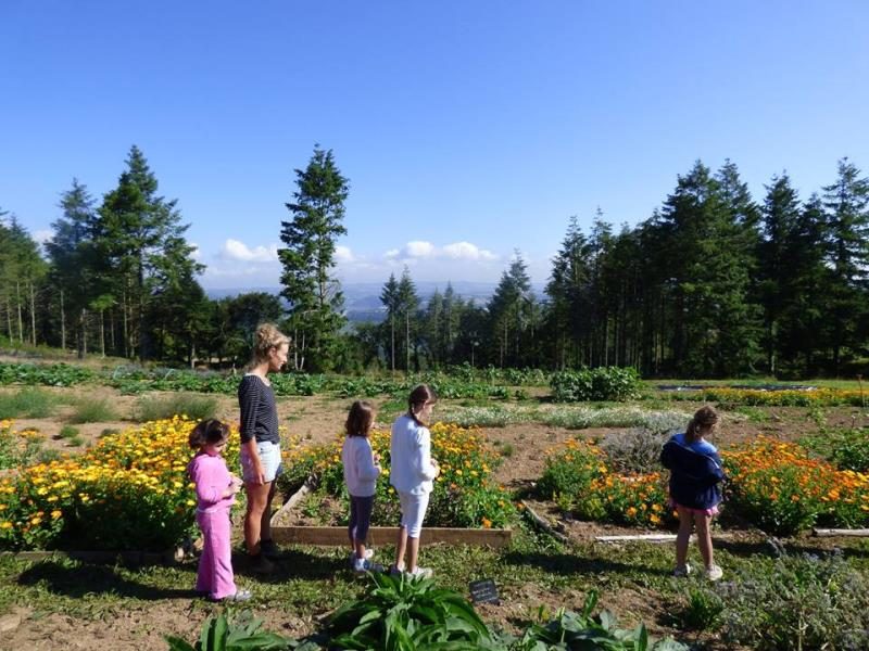 Ty Provost Bretagne - Dinéault visuel 4/7