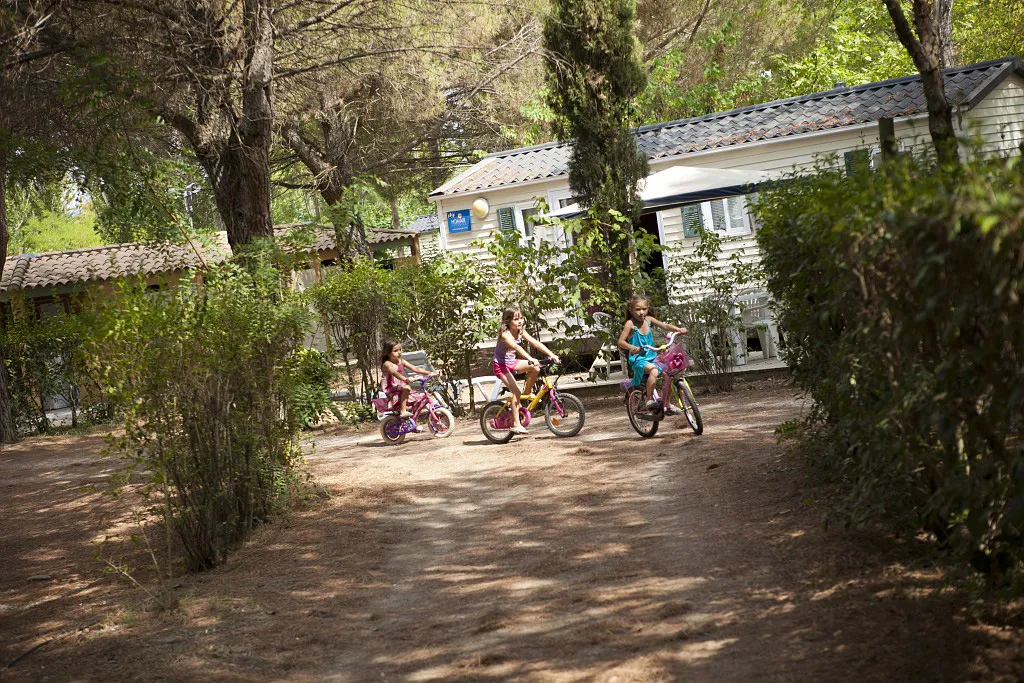 Camping Val de Durance Provence-Alpes-Côte d'Azur - Cadenet visuel 12/18
