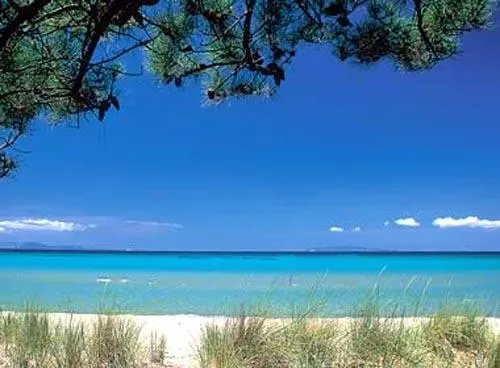 Camping Vallicella Toscane - Scarlino visuel 9/10