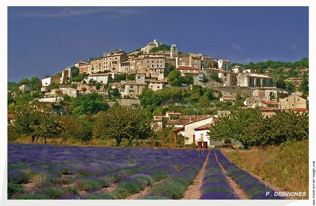 Camping Valsaintes Provence-Alpes-Côte d'Azur - Simiane-la-Rotonde visuel 8/10