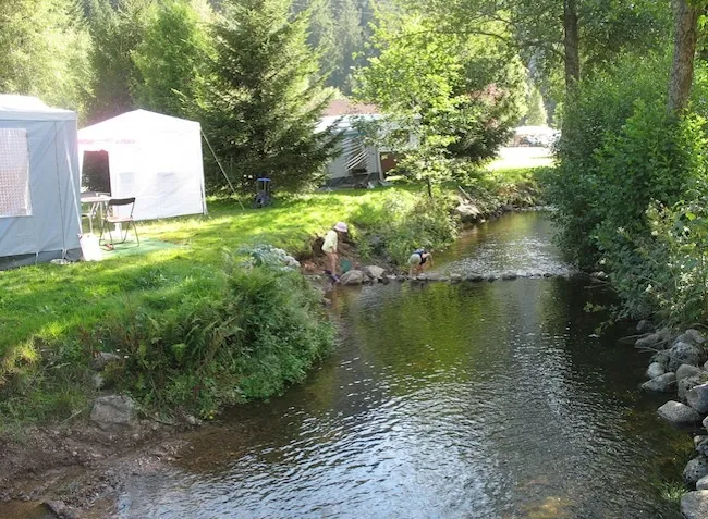 Camping Verte Vallée Lorraine - Xonrupt-Longemer visuel 10/10