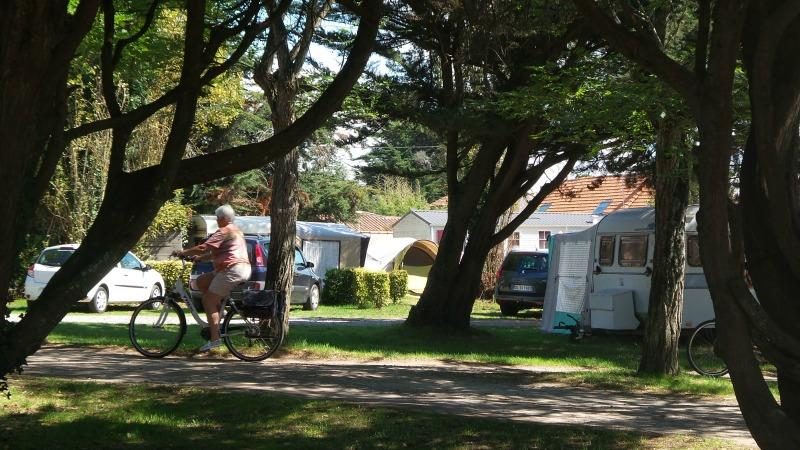 Vieux Chateau Pays de Loire - Saint-Michel-Chef-Chef visuel 2/8