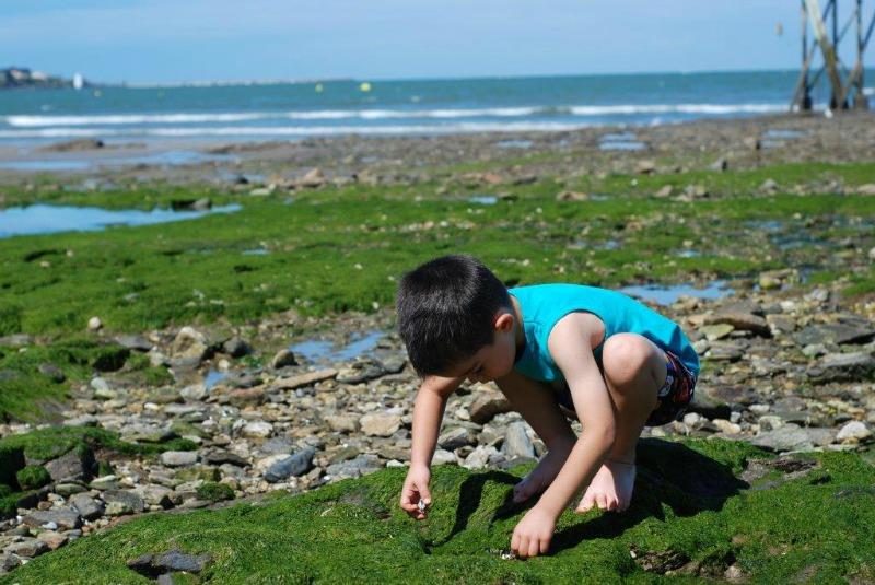 Vieux Chateau Pays de Loire - Saint-Michel-Chef-Chef visuel 6/8