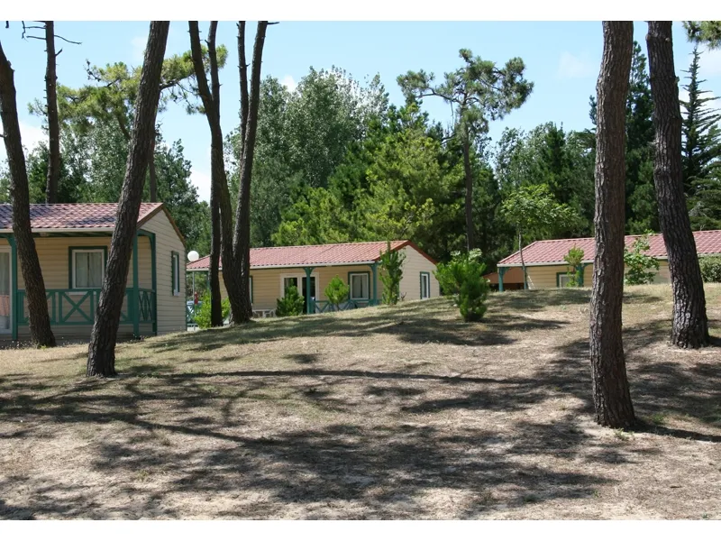Camping Village Atlantique Vacances Pays de Loire - Saint-Hilaire-de-Riez visuel 5/5