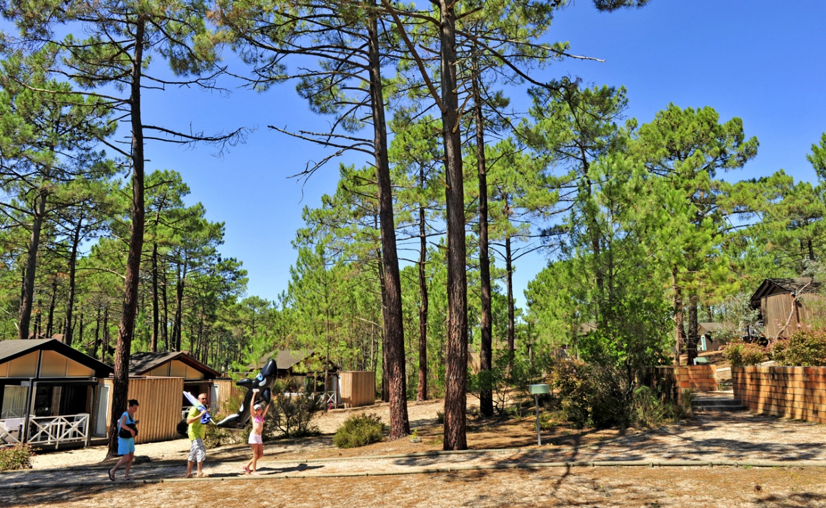 Village de vacances Les Oyats Sylvadoures - Aquitaine - Carcans visuel 2/9