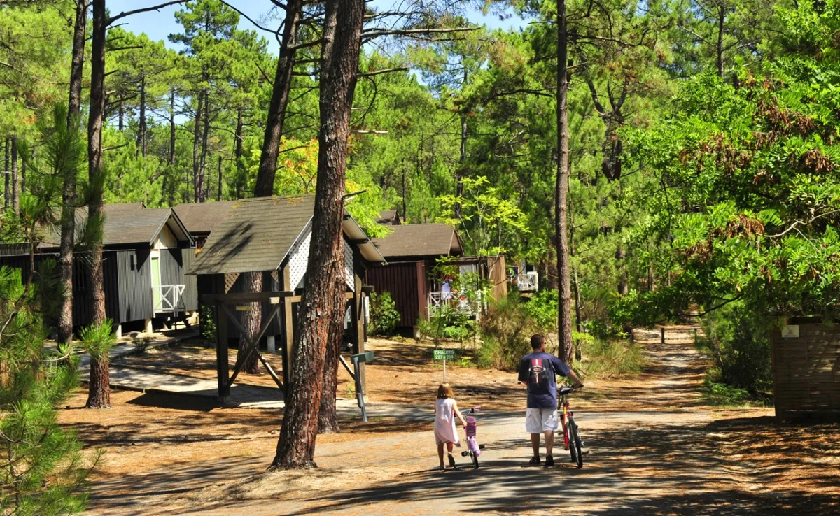 Camping Village de vacances Les Oyats Sylvadoures - Aquitaine - Carcans visuel 5/9