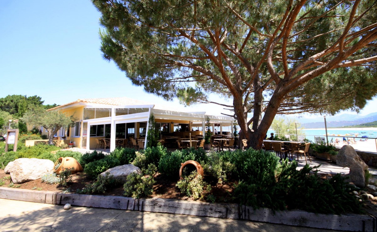 Village de vacances U Livanti Corse - Belvédère-Campomoro visuel 6/10