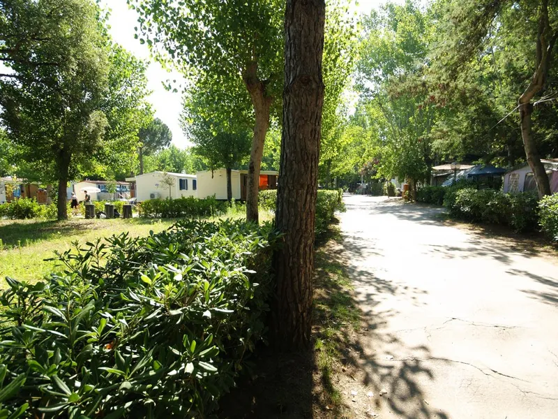 Camping Village Settebello Latium - Fondi visuel 6/10