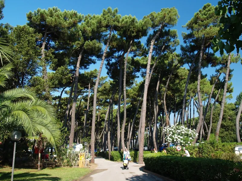 Camping Village Settebello Latium - Fondi visuel 7/10