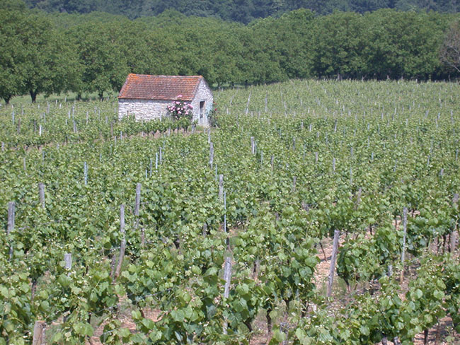 Village Vacances des Cigales Midi-Pyrénées - Mauroux visuel 10/10