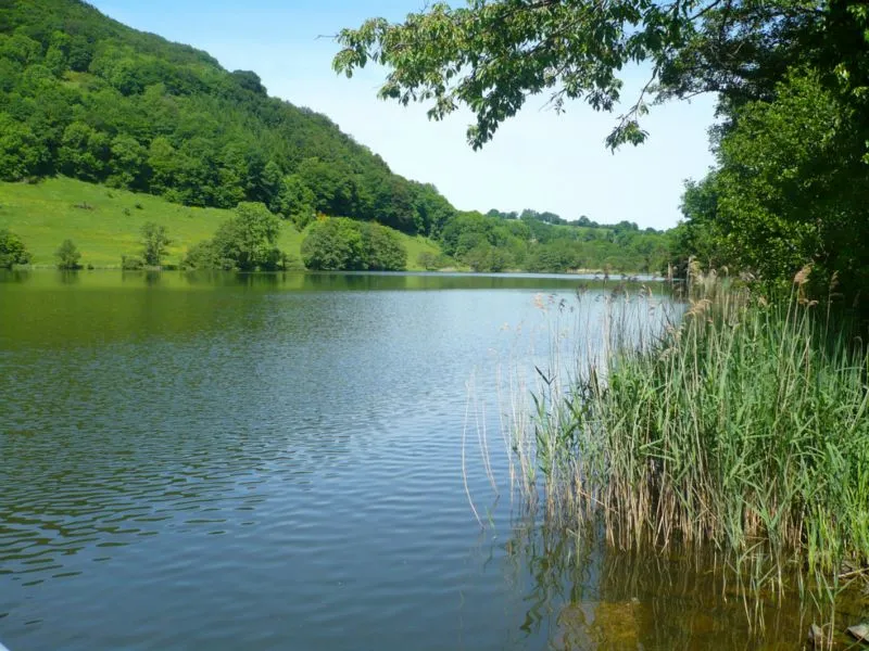 Camping Village Vacances du Lac de Menet Auvergne - Menet visuel 3/6