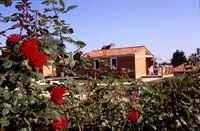 Camping Village Vacances La Bertholière Poitou-Charentes - La Bussière visuel 8/10