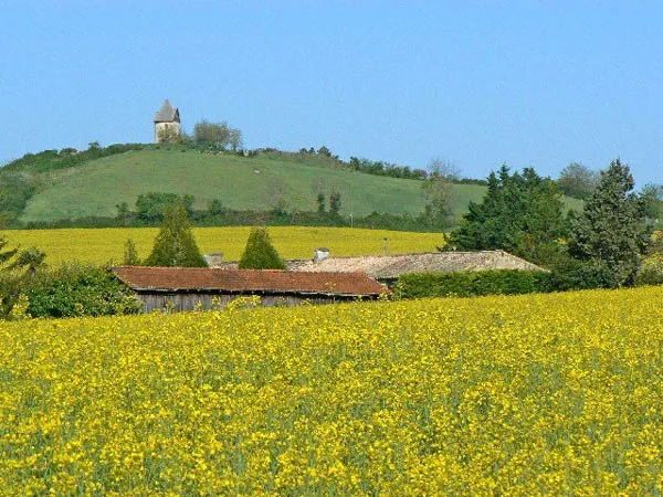 Camping Village Vacances  La Forêt Poitou-Charentes - Montendre visuel 5/10