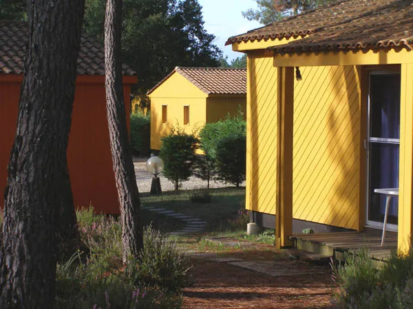 Camping Village Vacances  La Forêt Poitou-Charentes - Montendre visuel 4/10