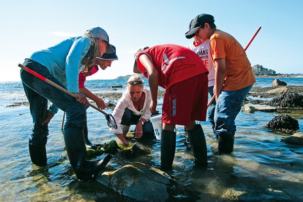 Village Vacances La Salicorne Poitou-Charentes - Ars-en-Ré visuel 8/8