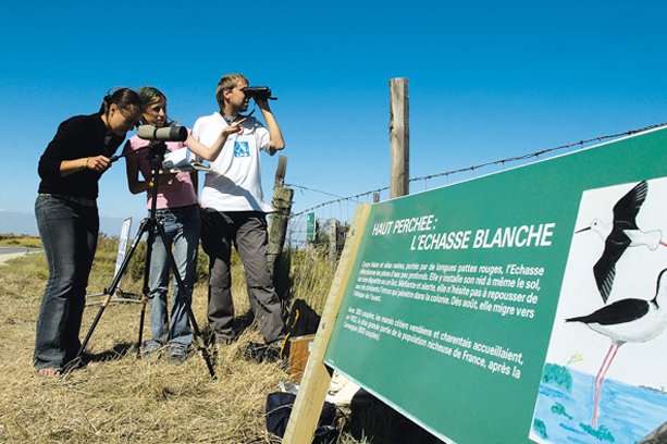 Village Vacances La Salicorne Poitou-Charentes - Ars-en-Ré visuel 4/8