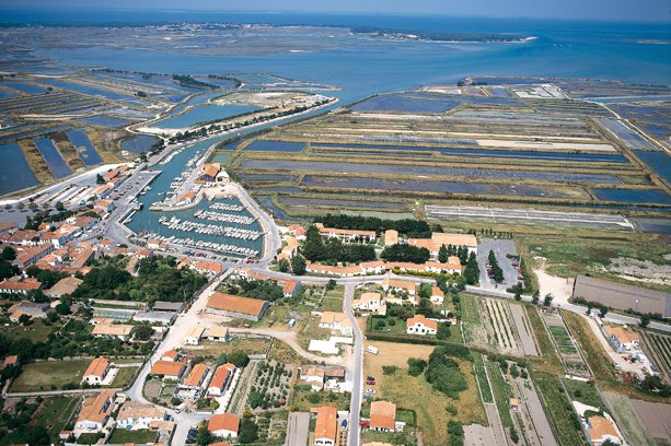 Village Vacances La Salicorne Poitou-Charentes - Ars-en-Ré visuel 6/8