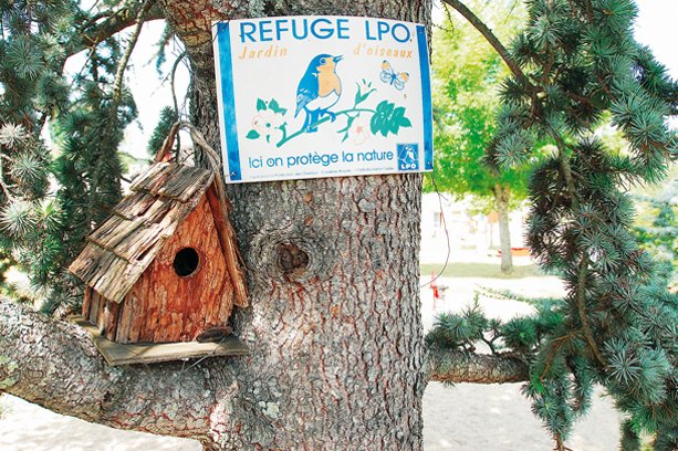 Village Vacances Aux Portes des Monts d’Aubrac Midi-Pyrénées - Espalion visuel 3/6