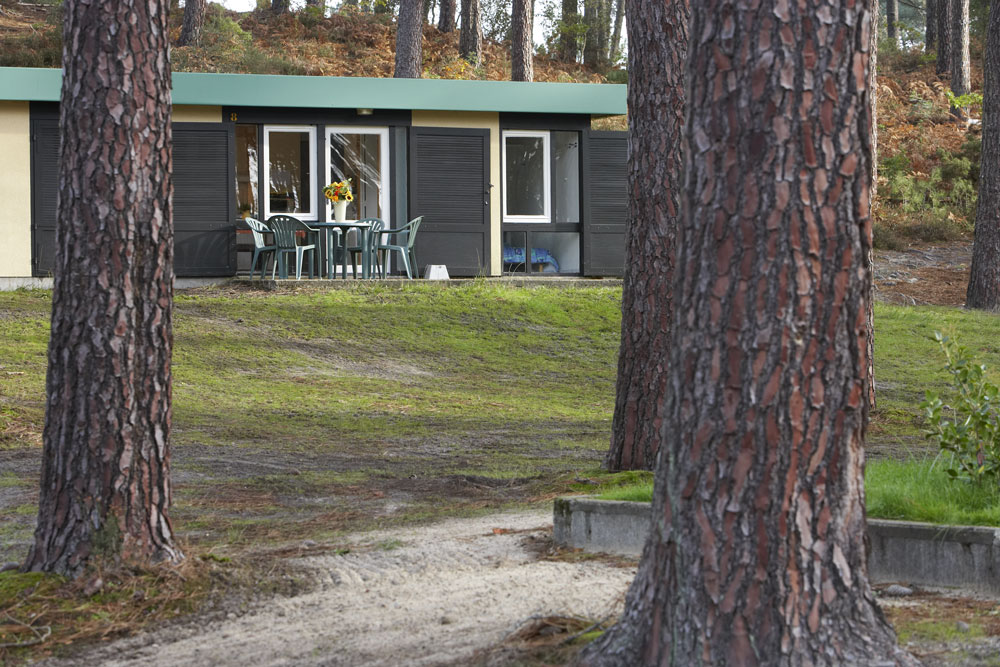 Village Vacances Les Genêts Aquitaine - Léon visuel 1/4