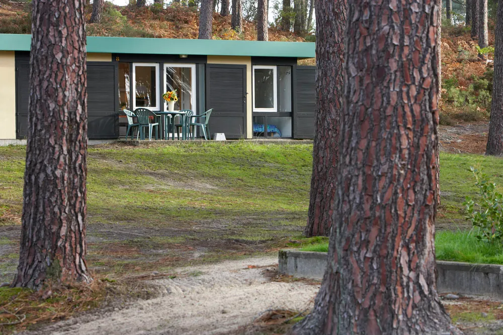 Camping Village Vacances Les Genêts Aquitaine - Léon visuel 2/4