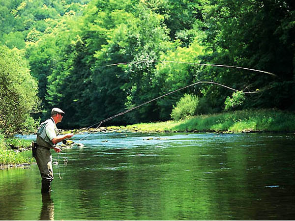 Village Vacances Les Logis de Sechemailles Limousin - Meymac visuel 10/10