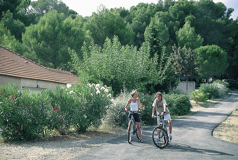 Camping Village Vacances Les Vignes Languedoc-Roussillon - Montagnac visuel 2/10