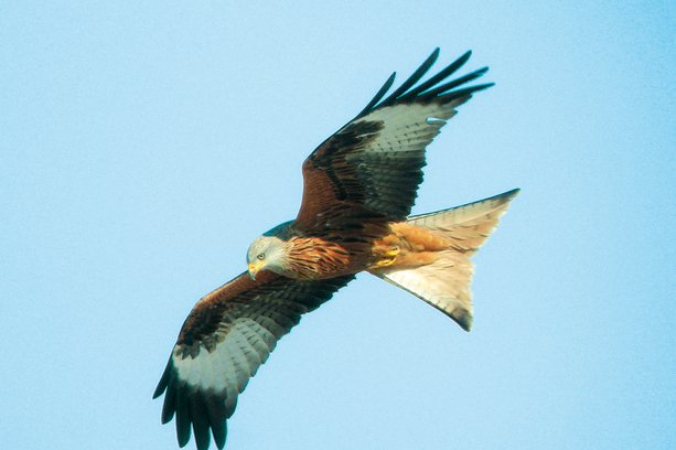 Villages Brusque Midi-Pyrénées - Brusque visuel 3/8