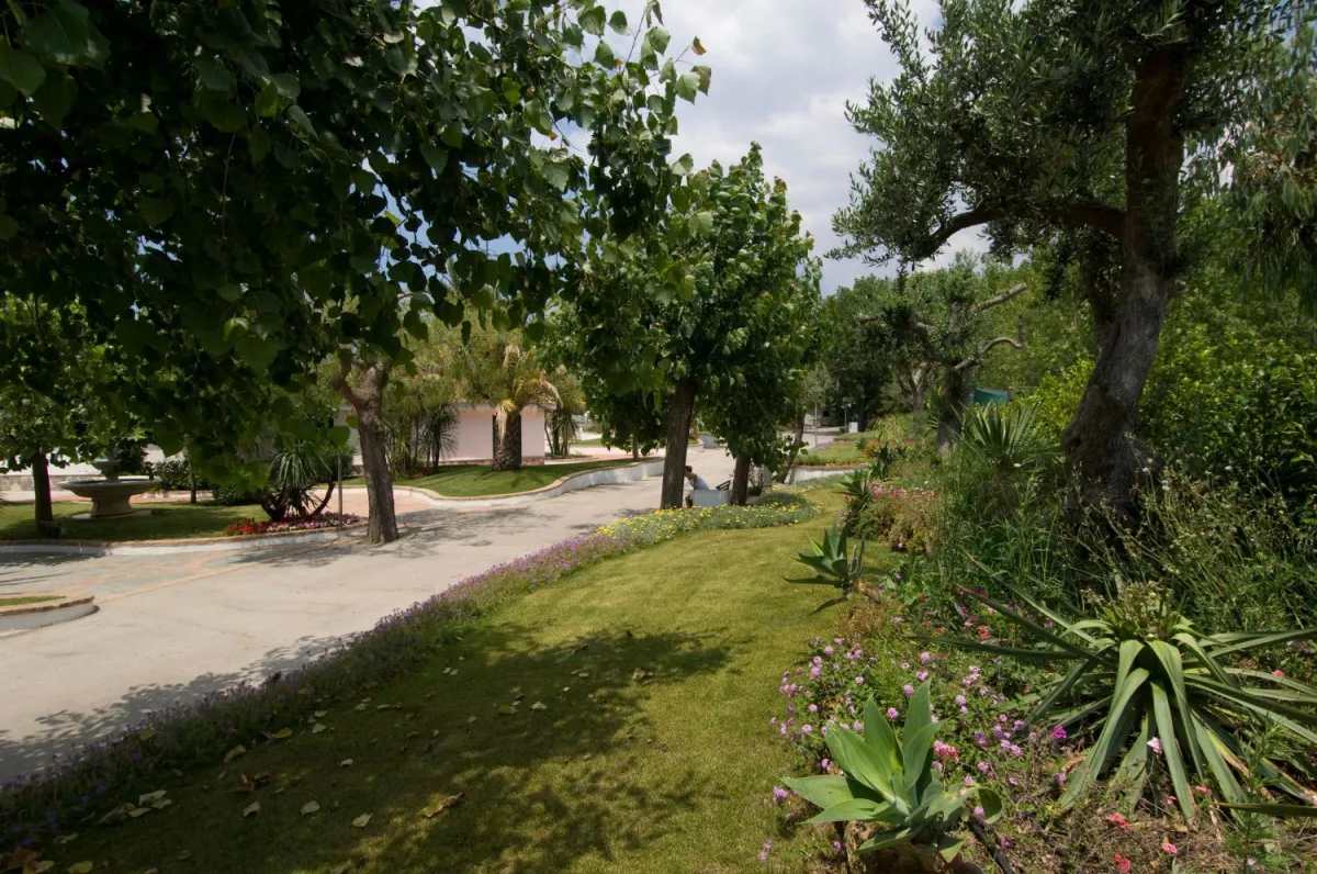 Camping Villaggio Le Palme Campanie - Ascea visuel 8/10