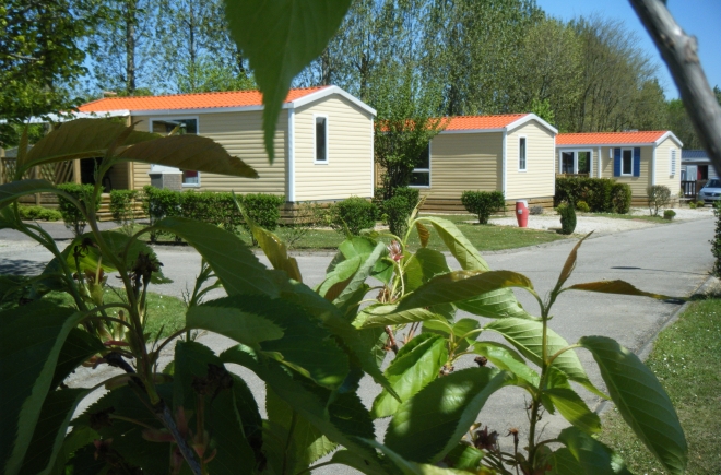 Vitamin Haute-Normandie - Saint-Aubin-sur-Scie visuel 8/11 Vitamin Haute-Normandie - Saint-Aubin-sur-Scie visuel 8/11